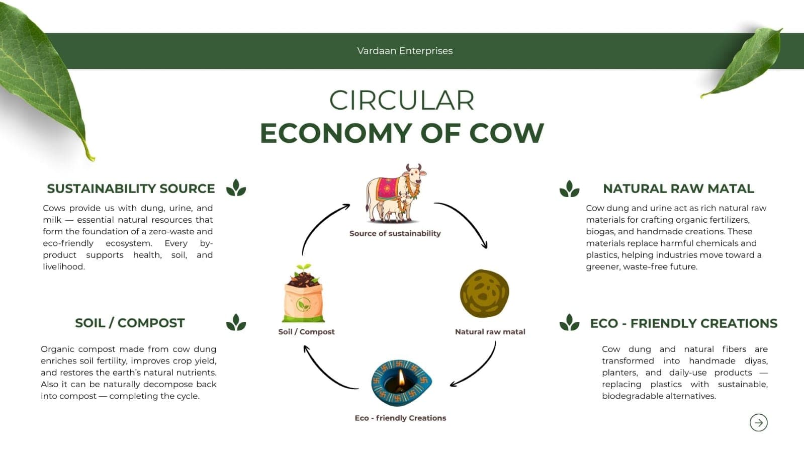 Circular Economy of Cow Infographic
